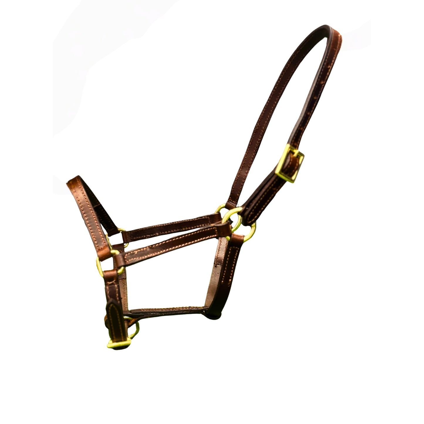 Holmestead Leather Headcollar