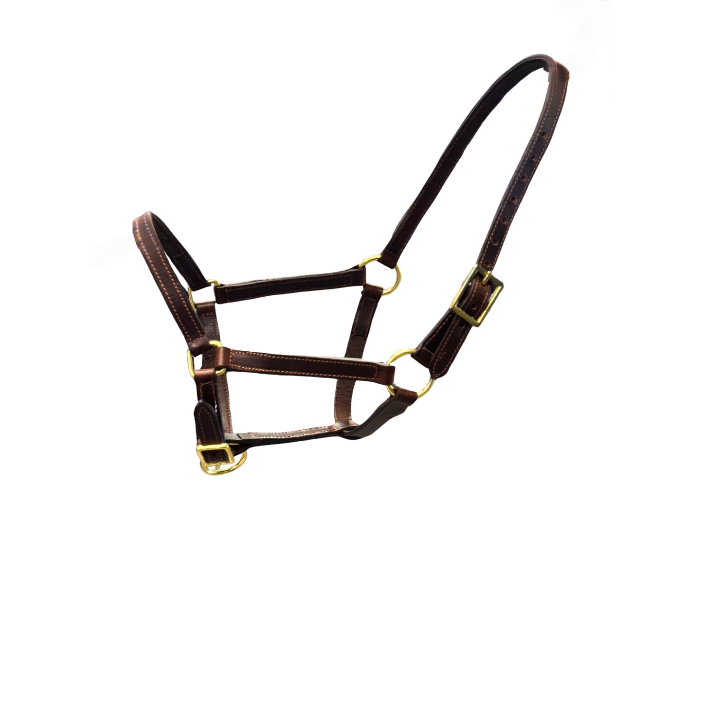 Holmestead Leather Headcollar