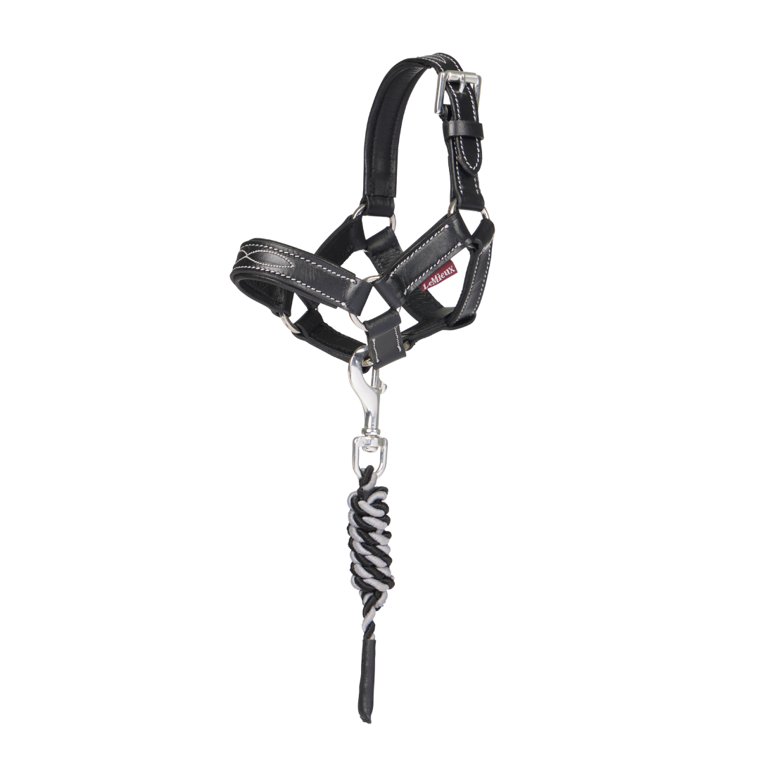 LeMieux Toy Pony Leather Headcollar & Leadrope