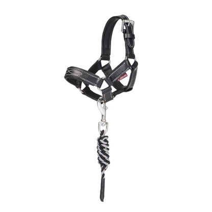 LeMieux Toy Pony Leather Headcollar & Leadrope