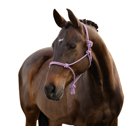 Lemieux Rope Halter
