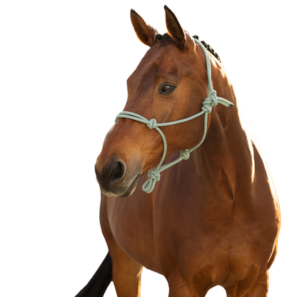 Lemieux Rope Halter