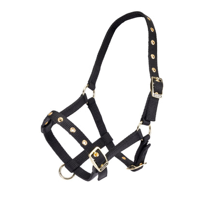 Shires Arma Foal Head Collar