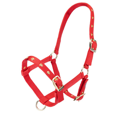 Shires Arma Foal Head Collar