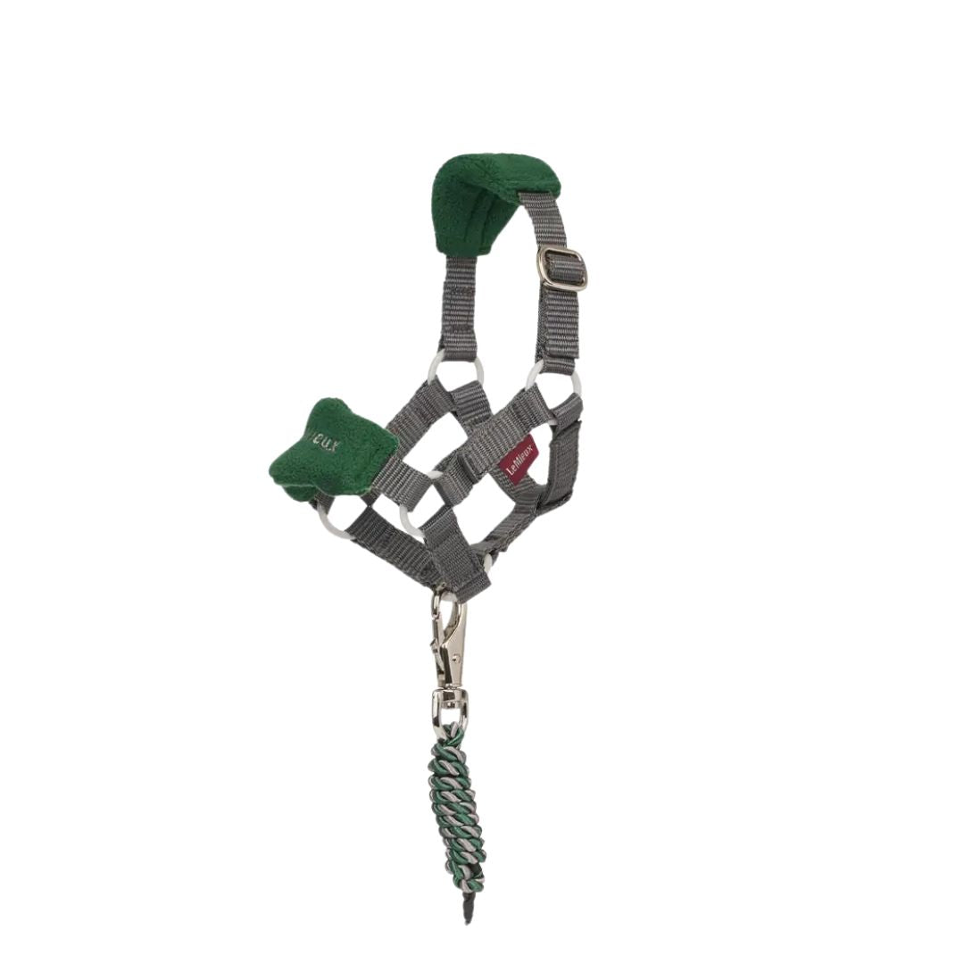 Lemieux Toy Pony Vogue Head Collars