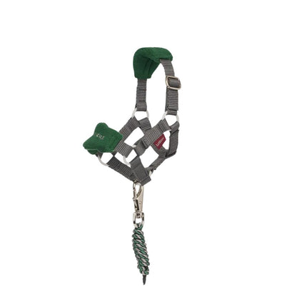 Lemieux Toy Pony Vogue Head Collars