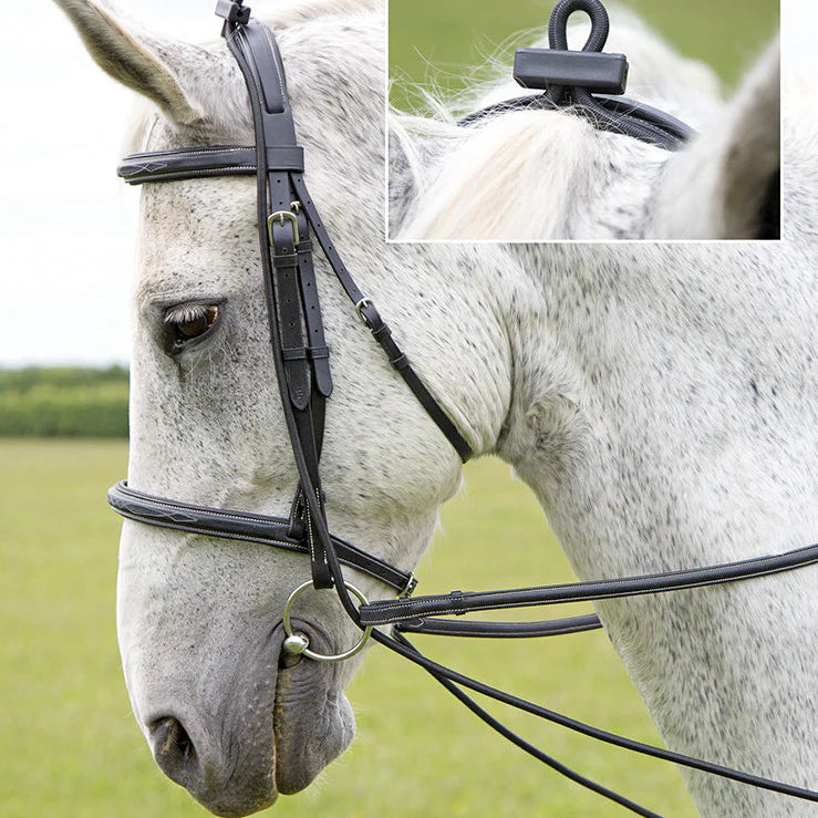 Horse wearing a bridle with a close-up inset of the bit.