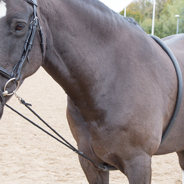 Shires Soft Lunging Aid