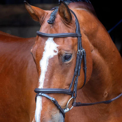 Shires Velociti RAPIDA Padded Raised Flash Noseband