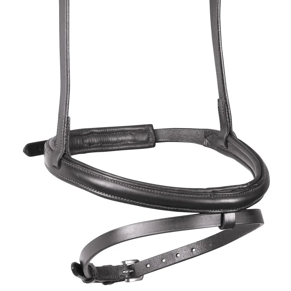 Shires Velociti RAPIDA Padded Raised Flash Noseband