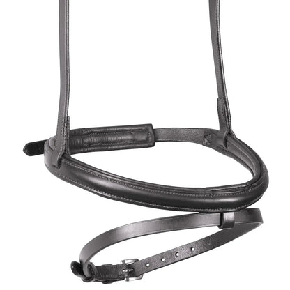 Shires Velociti RAPIDA Padded Raised Flash Noseband