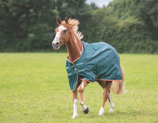 Shires Typhoon Lite Turnout Rug 0g