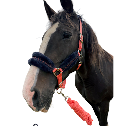 Luxury Headcollar & Leadrope Set