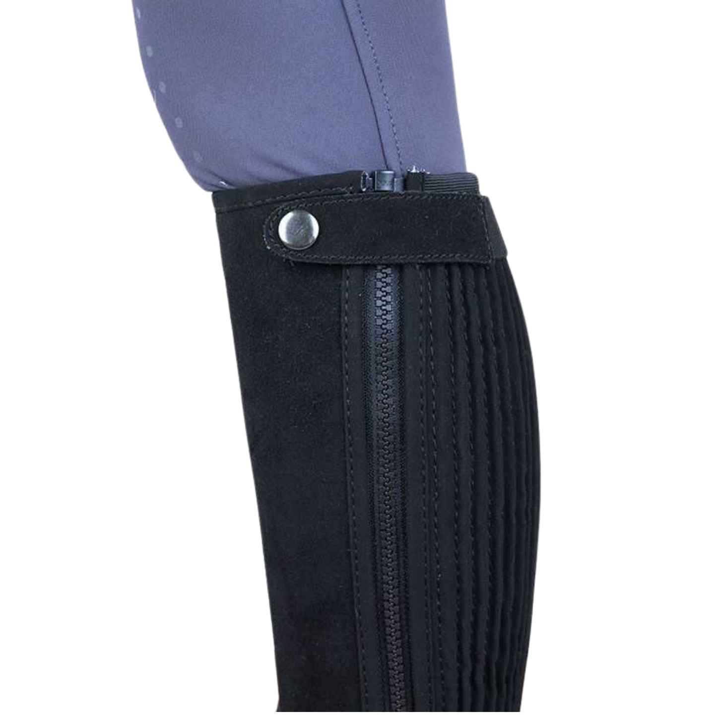 Stationata Mini Half-Chaps