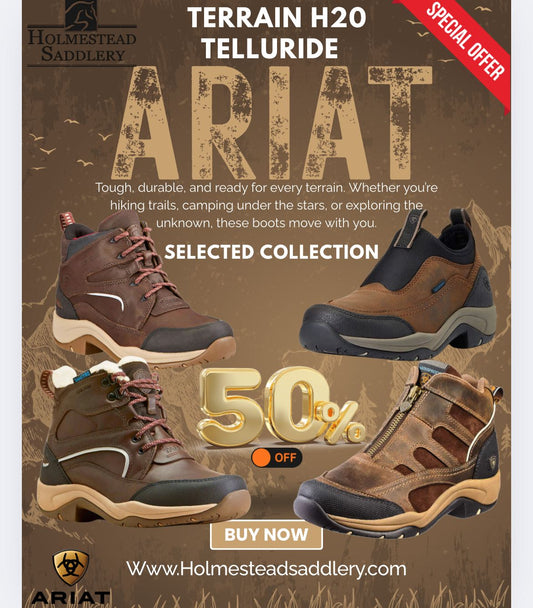 Ariat Terrain Ease H2O Boot Women's