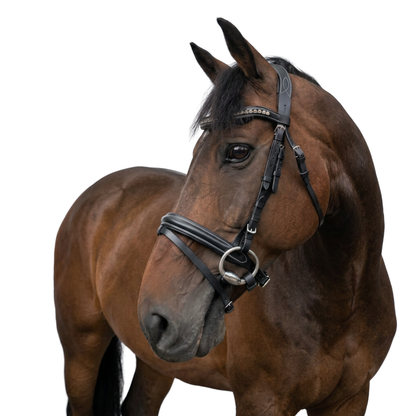 Grace Bridle with reins