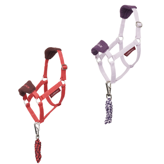 Lemieux Hobby Horse Vogue Headcollar AW25