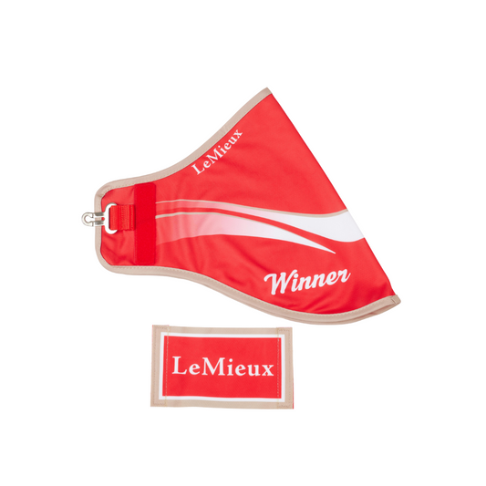 LeMieux Hobby Horse Winners Rug