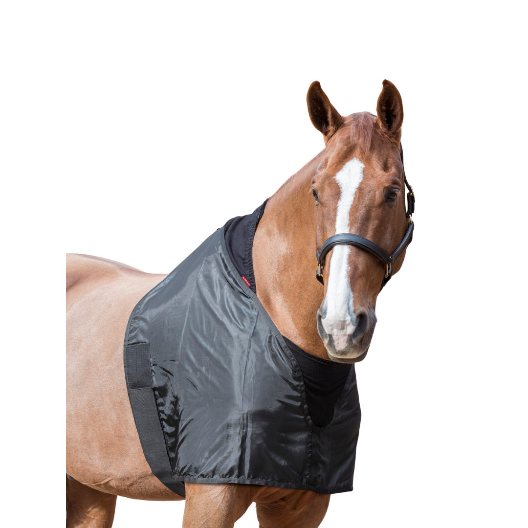 Lemieux Anti Rub Bib