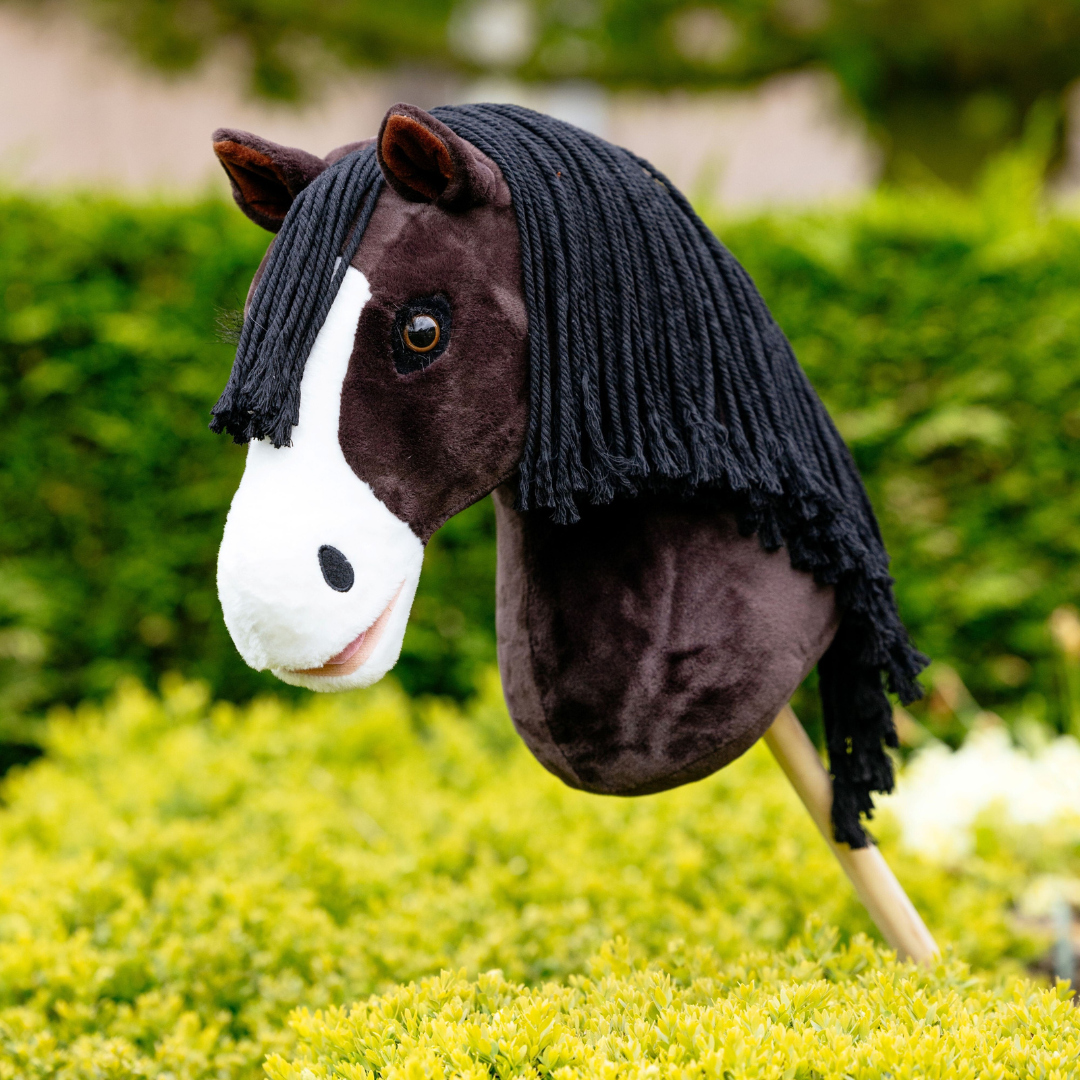 Lemieux Badminton Hobby Horse Franklin
