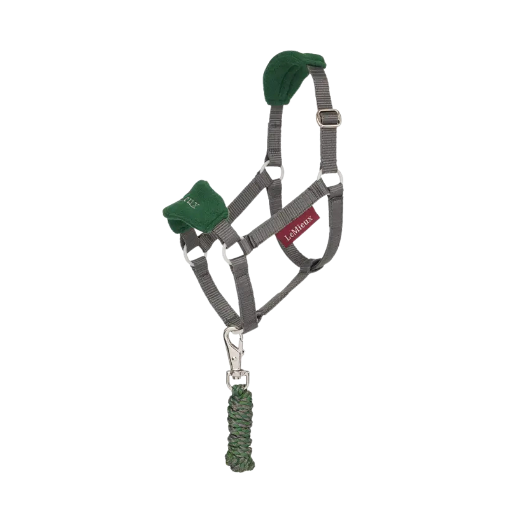 Lemieux Hobby Horse Vogue Headcollar AW24