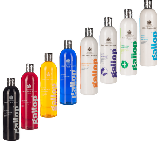 Carr & Day & Martin Gallop Shampoo