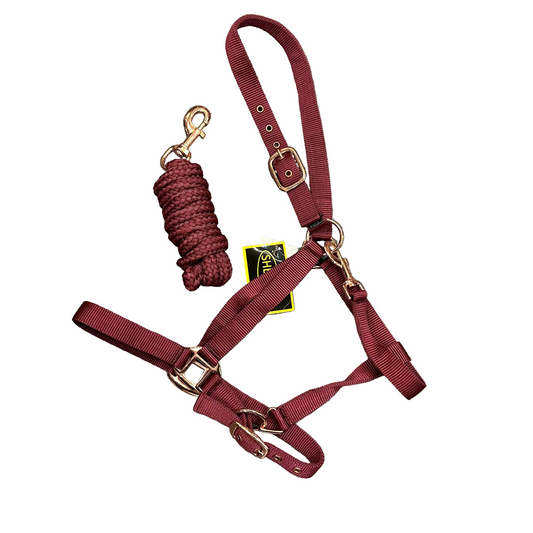 Sheldon Rose Gold  Headcollar