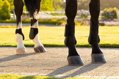 LeMieux Arika Tendon boot