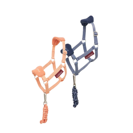 Lemieux Hobby Horse Vogue Headcollar