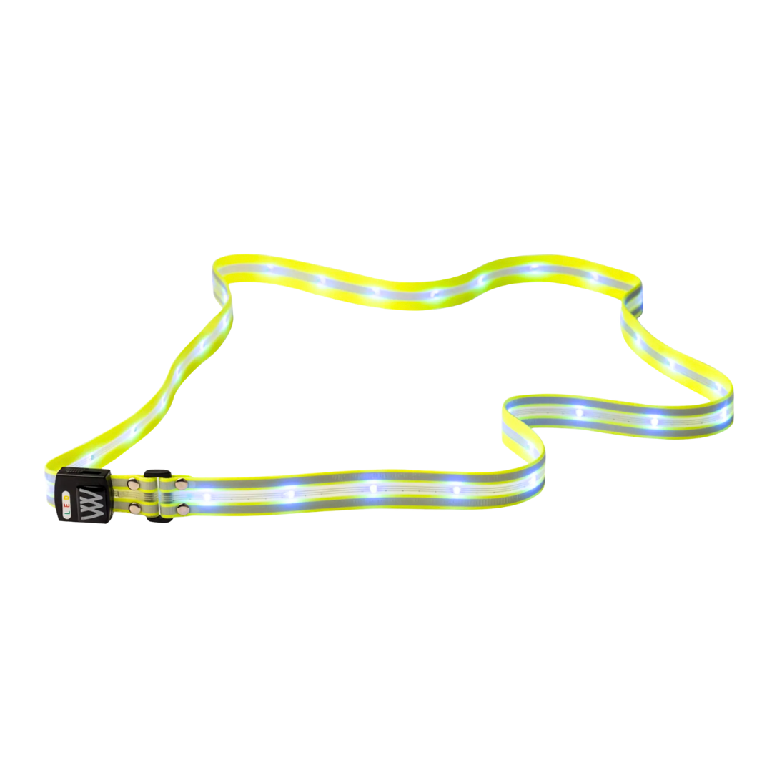 Woof Wear LED Sash
