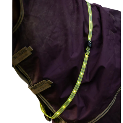 Woof Wear LED Sash