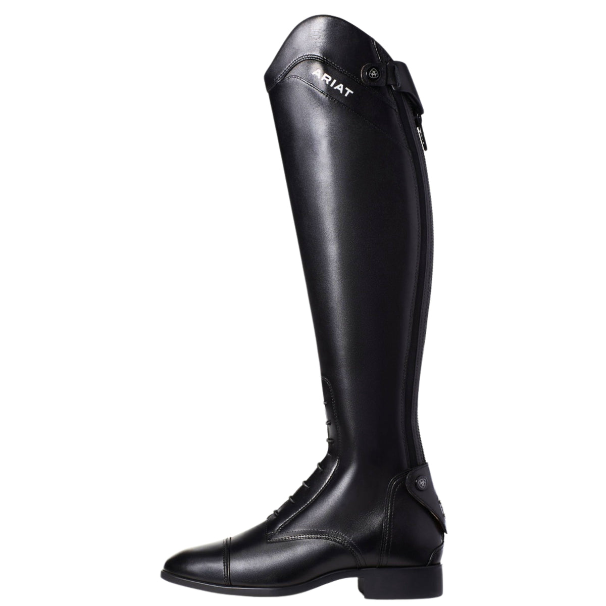 Ariat Palisade Tall Riding Boot Women's (Regular Height)
