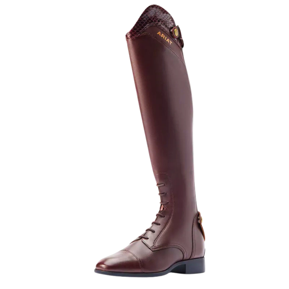Ariat Palisade Ellipse Tall Riding Boot Women's (Tall Height)