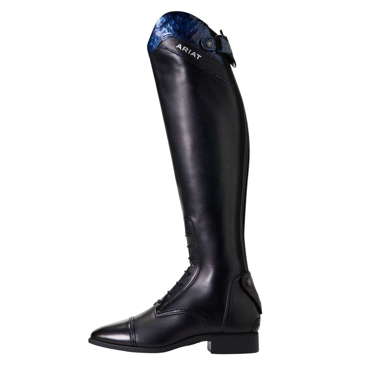 Ariat Palisade Ellipse Tall Riding Boot Women's (Regular Height)