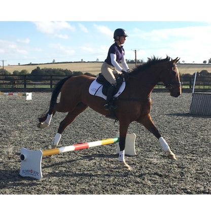 Holmestead Cavaletti-Pair