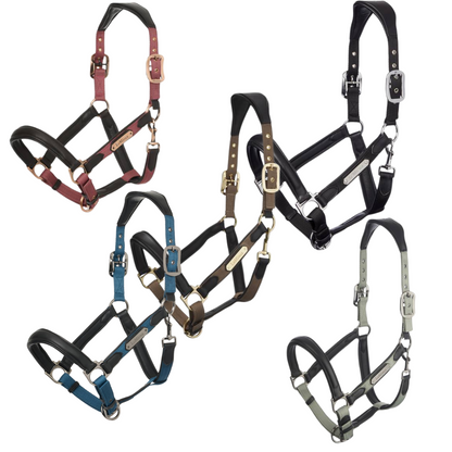 LeMieux Capella Headcollar