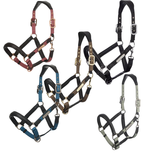 LeMieux Capella Headcollar
