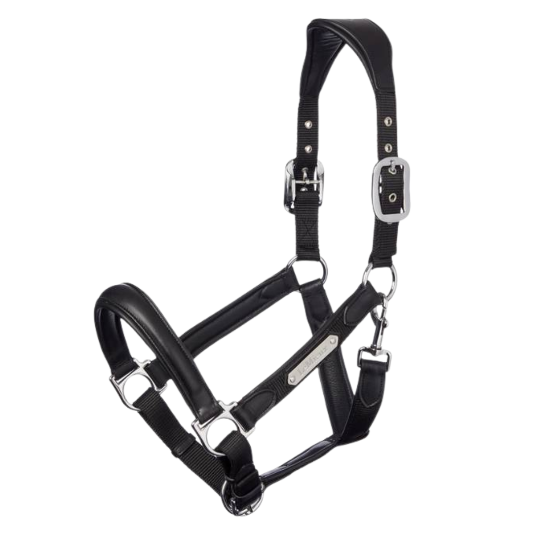 LeMieux Capella Headcollar