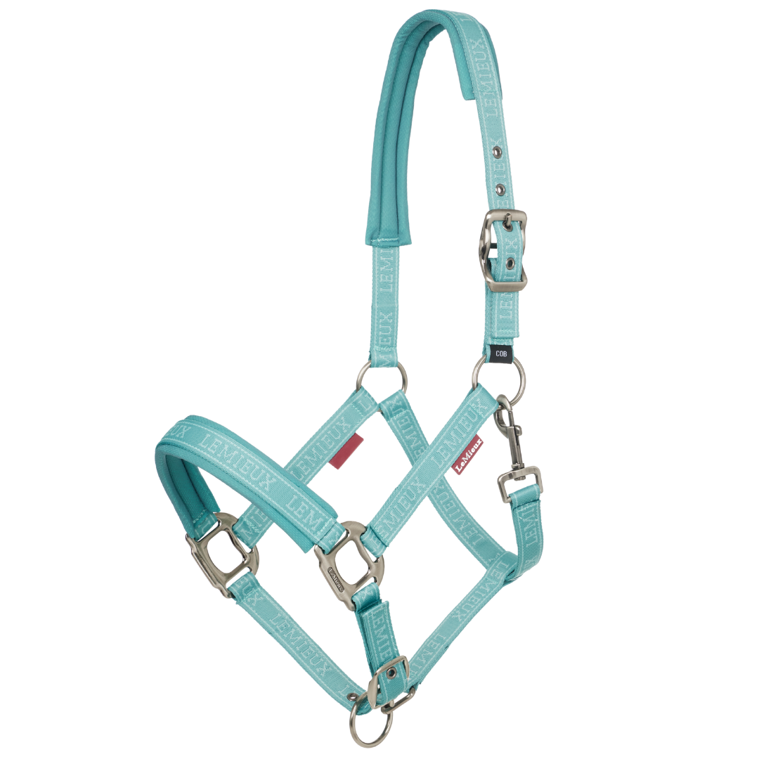 LeMieux Logo Headcollar SS25