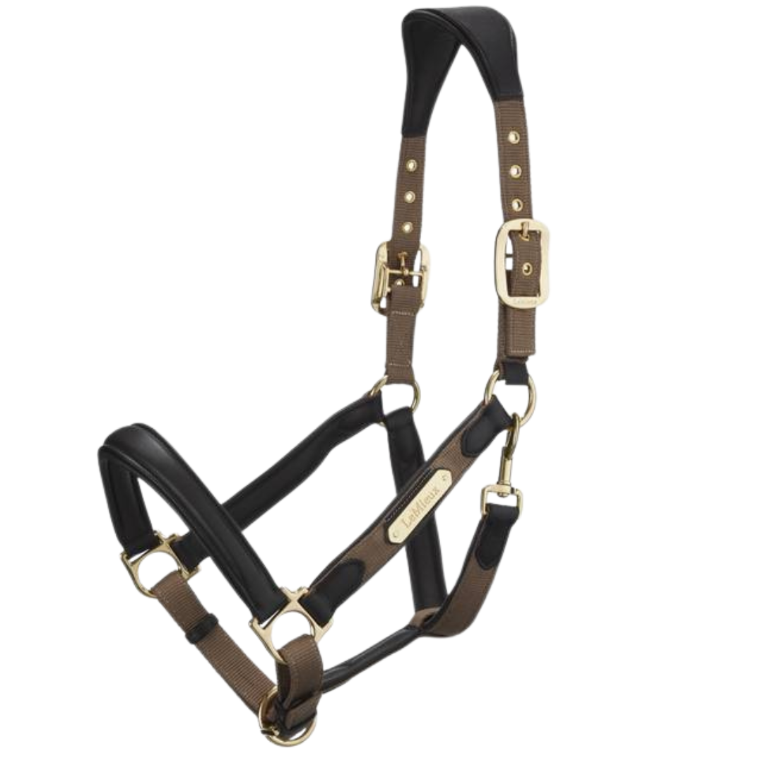 LeMieux Capella Headcollar