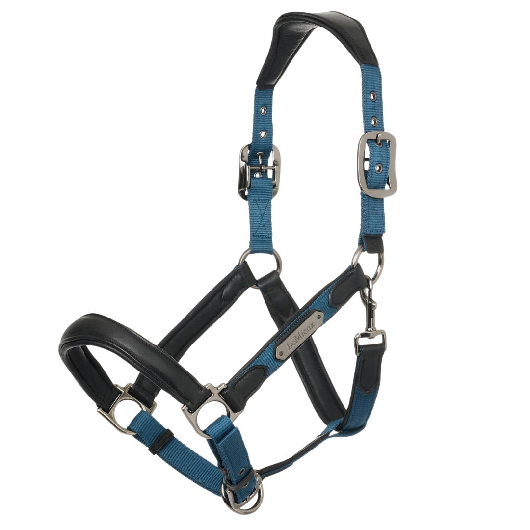LeMieux Capella Headcollar
