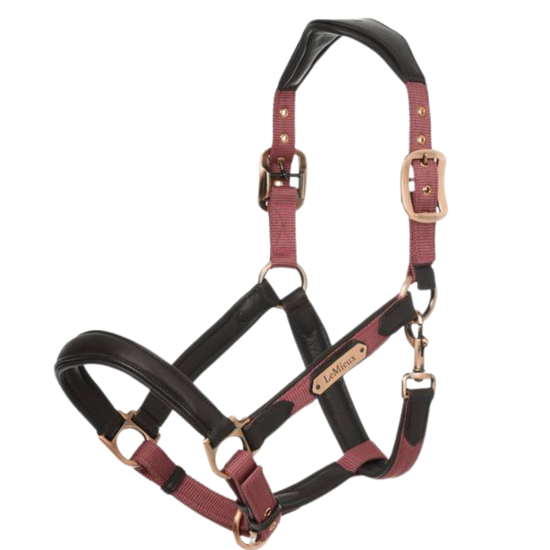 LeMieux Capella Headcollar