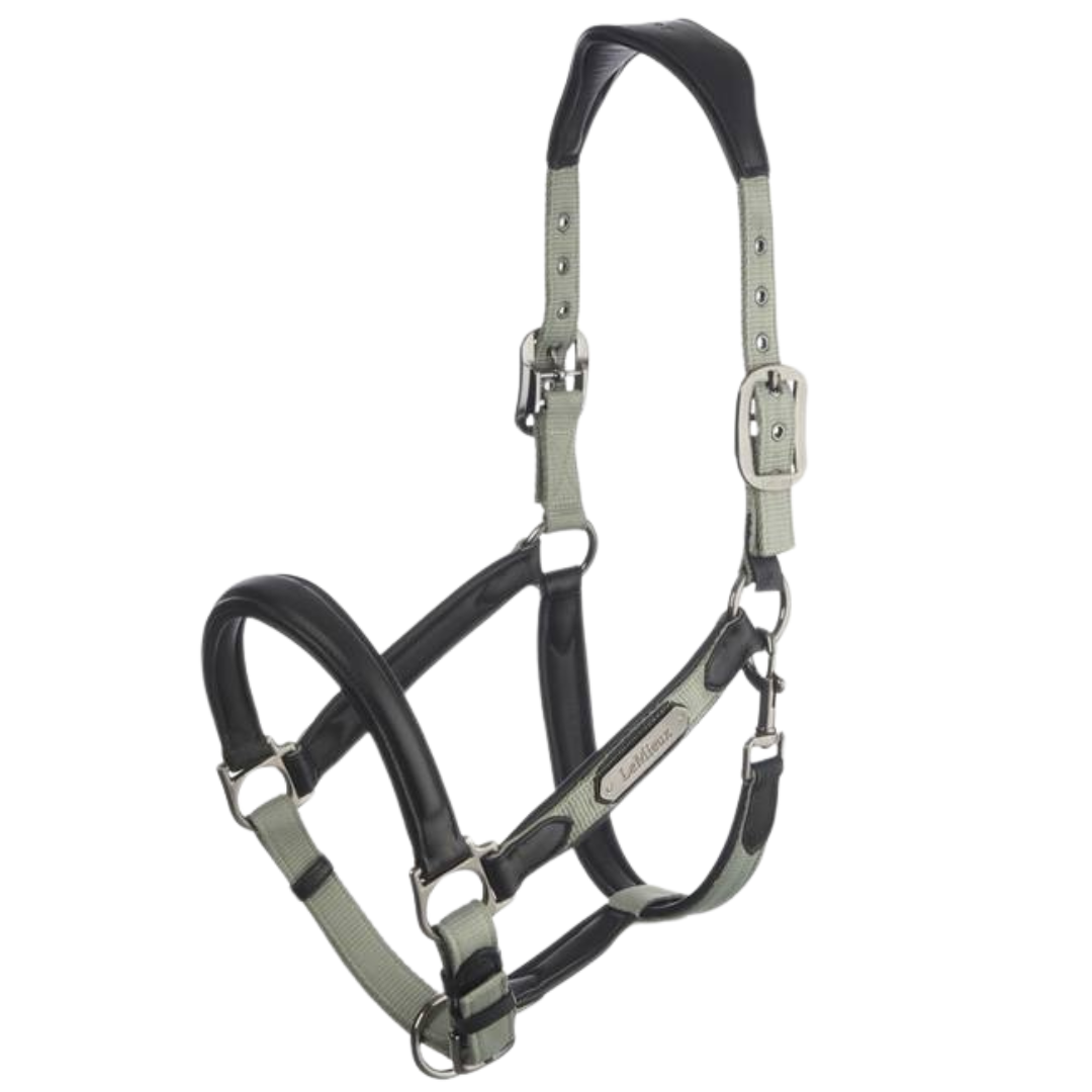 LeMieux Capella Headcollar