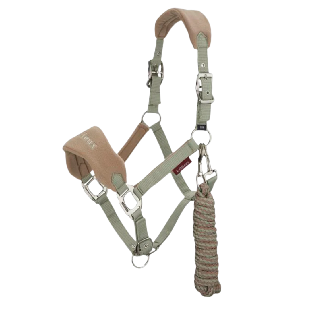Lemieux Vogue Headcollar & Leadrope