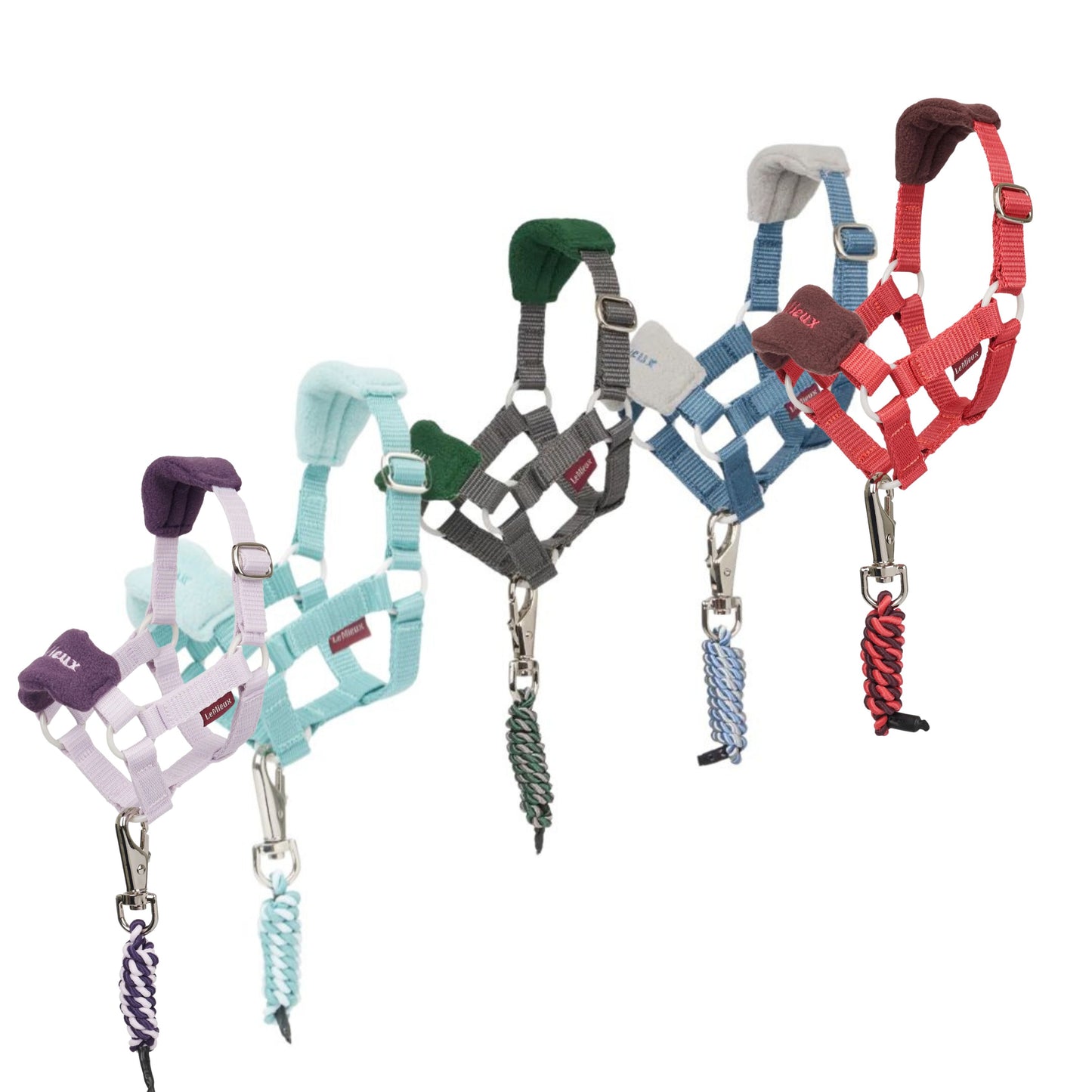 Lemieux Toy Pony Vogue Head Collars