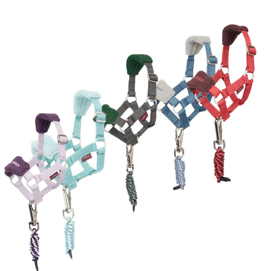 Lemieux Toy Pony Vogue Head Collars