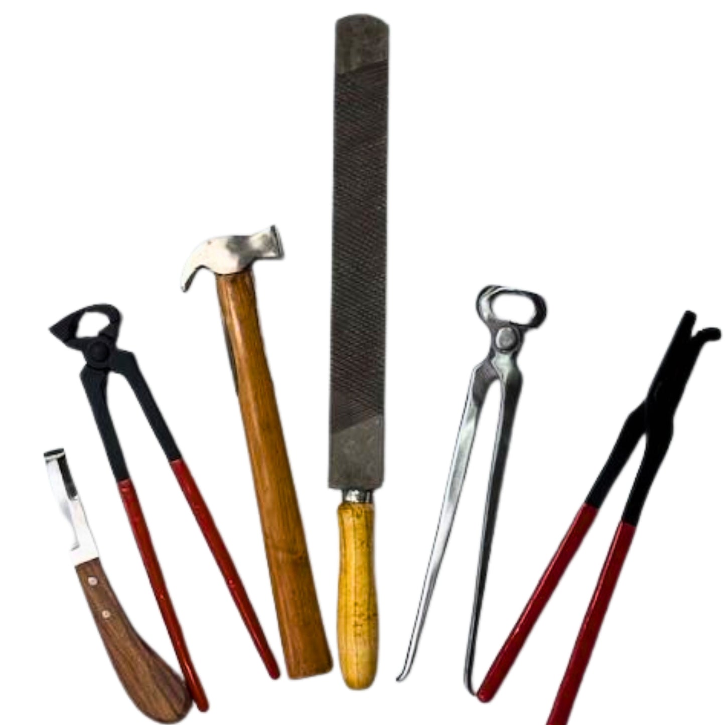 Holmestead Saddlery Farrier Tools