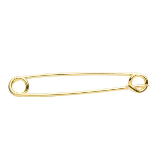 Shires Aubrion Plain Gold Plated Stock Pin
