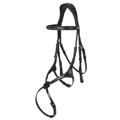 LeMieux Kudos Grackle Bridle