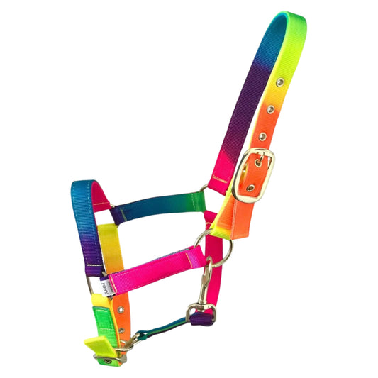 Holmestead Rainbow Headcollar